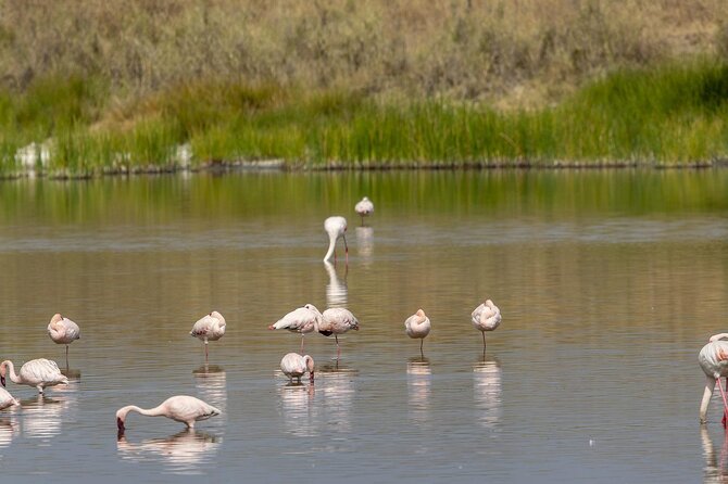 4 Day Tanzania Afordable Safari ft Two Night Serengeti - The road to Seronera and two nights in the Serengeti