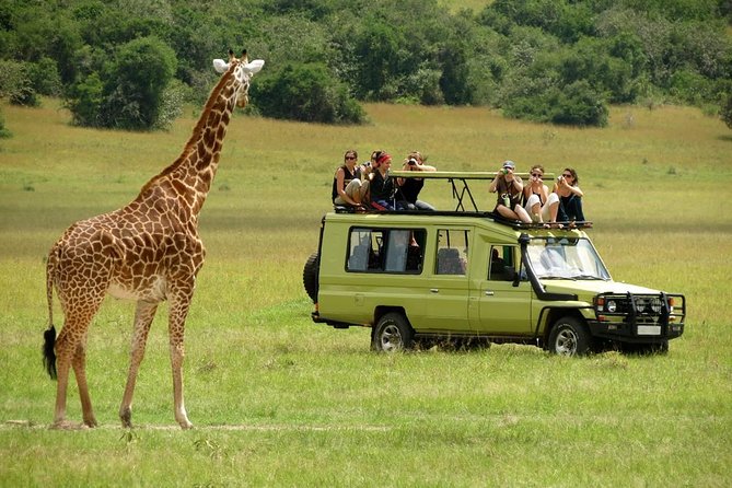 4-Day Tanzania Camping Safari to Lake Manyara, Serengeti, and Ngorongoro Crater - Day 2: The long road into the Serengeti