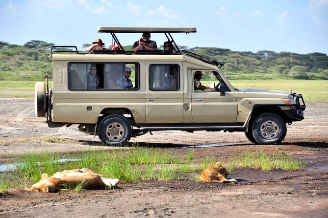 4-Day Tanzania Camping Safari to Lake Manyara, Serengeti, and Ngorongoro Crater - Camping, cooking, and the practical side of comfort