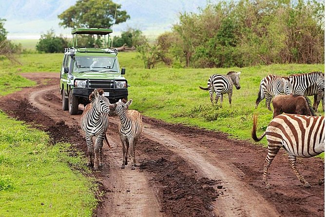 4-Day Tanzania Camping Safari to Lake Manyara, Serengeti, and Ngorongoro Crater - What the guide and vehicle arrangement mean
