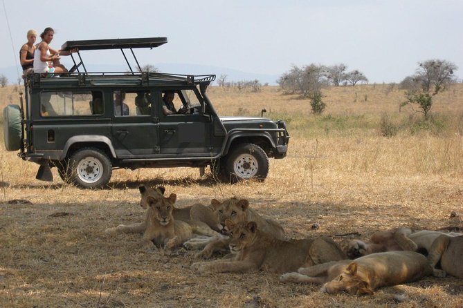 4-Day Tanzania Camping Safari to Lake Manyara, Serengeti, and Ngorongoro Crater - Is $1,675 good value?