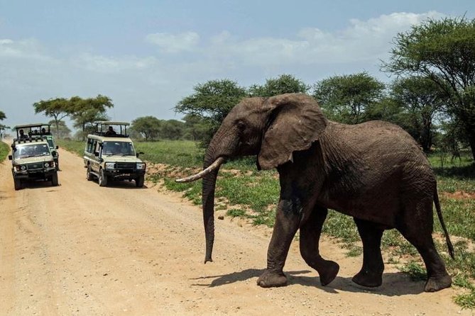 4-Day Tanzania Camping Safari to Lake Manyara, Serengeti, and Ngorongoro Crater - The best fit for this safari