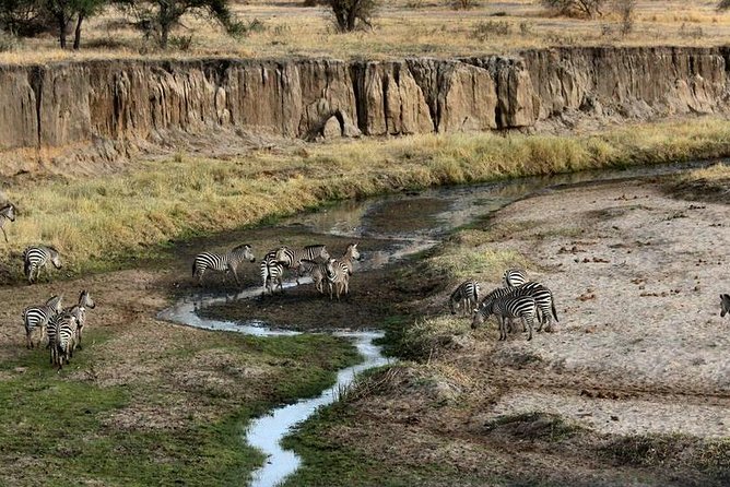 4 Day Tanzania Luxury Safari - Day 4: Descending 600 meters into Ngorongoro Crater