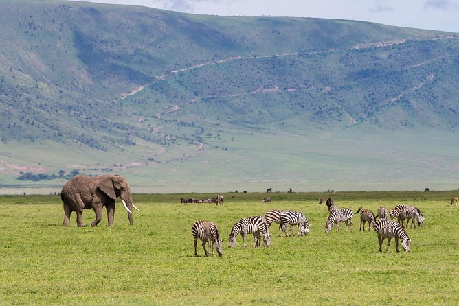 4-day Tanzania Safari - Lodges, meals, and the comfort level
