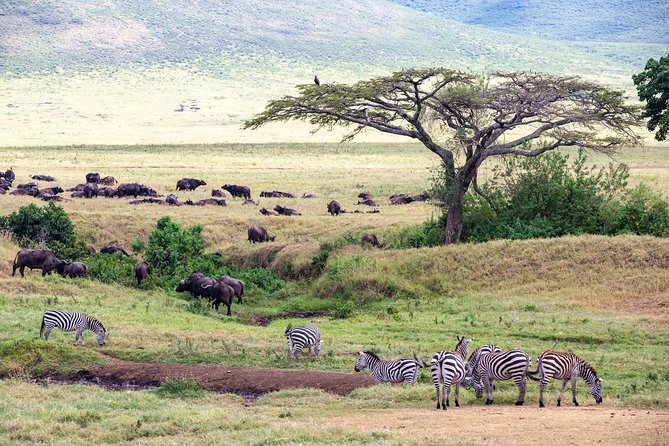 4-day Tanzania Safari - What the $3,296.40 price includes