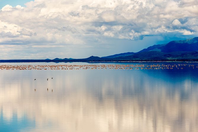 4-day Tanzania Safari - The guide makes the difference