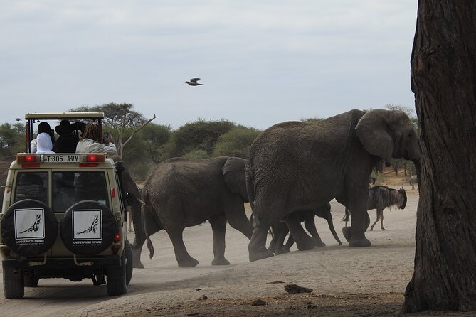 4-Day Tarangire, Serengeti, Ngorongoro Crater - What this four-day safari actually covers