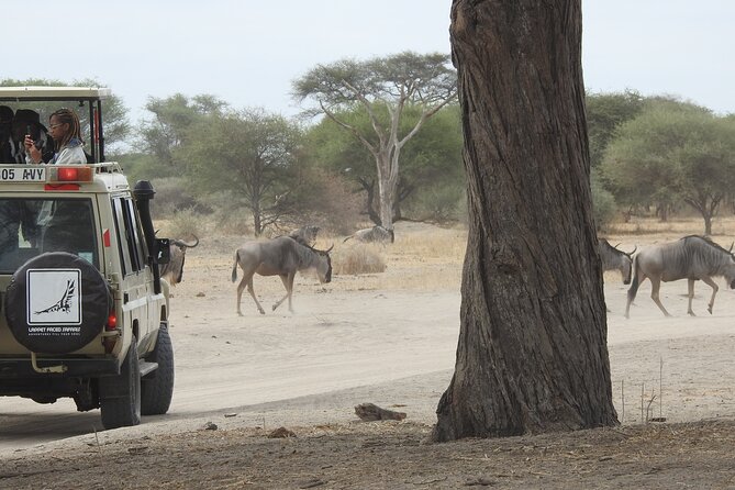 4-Day Tarangire, Serengeti, Ngorongoro Crater - Why the private guide matters