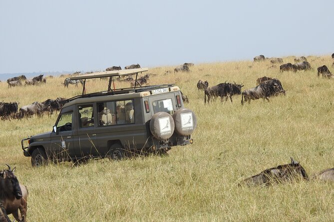 4-Day Tarangire, Serengeti, Ngorongoro Crater - Day 1: Tarangire’s baobabs and elephant country