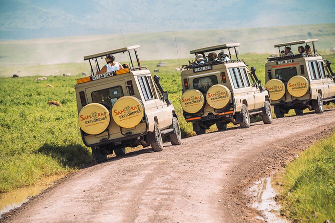 4-Day The Short of Tanzania Safari - What this four-day safari does well