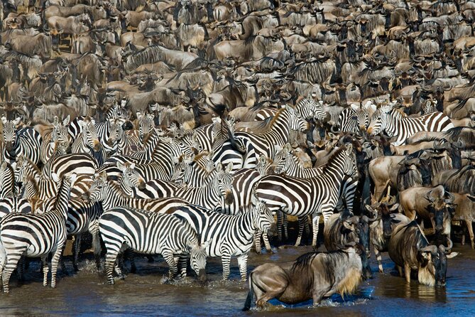 4-Day Tour to Tarangire, Serengeti and Ngorongoro - Day four: the natural bowl of Ngorongoro
