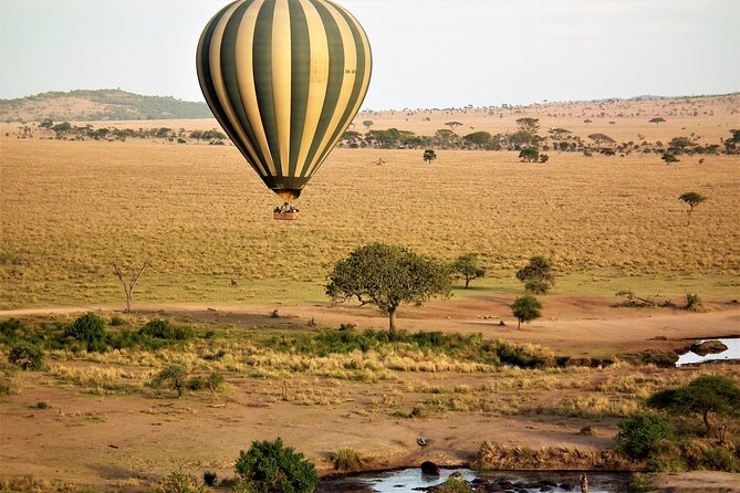 4-Day Tour to Tarangire, Serengeti and Ngorongoro - Day two: entering the Serengeti