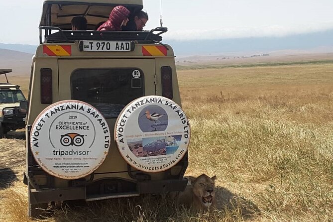 4 Days, 3 Nights Group budget Safari, Lake Manyara, Serengeti, Ngorongoro - Day 4: A crater game drive before returning to Moshi
