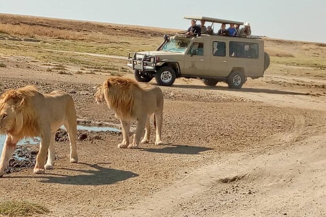 4 Days, 3 Nights Group budget Safari, Lake Manyara, Serengeti, Ngorongoro - Meals, luggage, and the practical details
