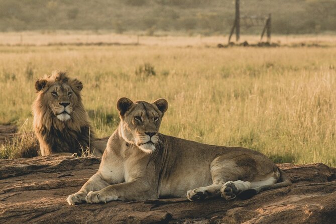 4 Days, 3 Nights Group budget Safari, Lake Manyara, Serengeti, Ngorongoro - How reliable is the guiding and organization?