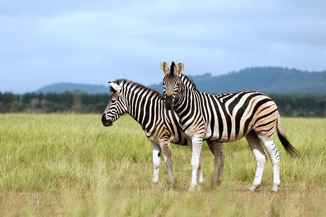 4 Days / 3 Nights Lake Manyara, Ngorongoro and Serengeti - Ngorongoro Conservation Area and Olduvai Gorge