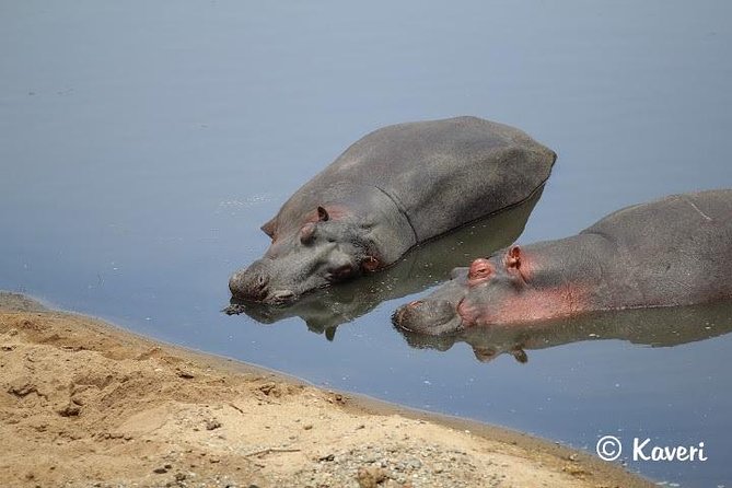 4 Days / 3 Nights Lake Manyara, Ngorongoro and Serengeti - The Main Strengths and Limits
