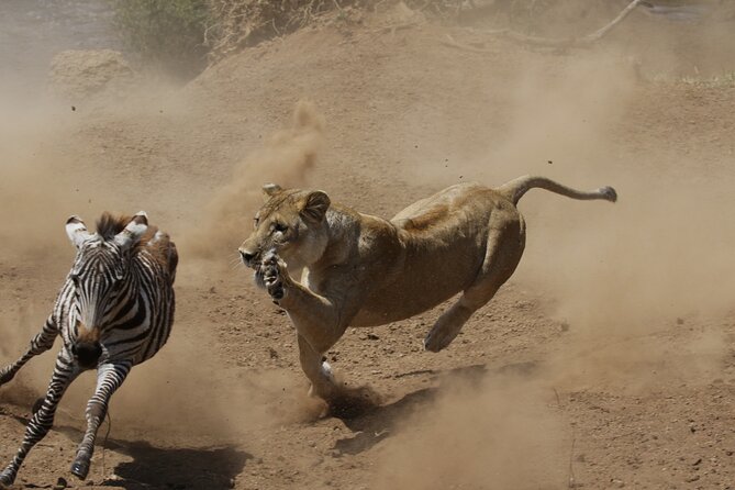 4 days 3 nights Safari- Tarangire, Serengeti and Ngorongoro Crater - Day three: an early start in Seronera
