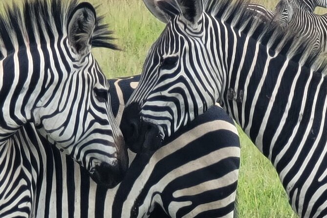4 Days 3 Nights Safari to Mikumi National Park - The road from Dar es Salaam