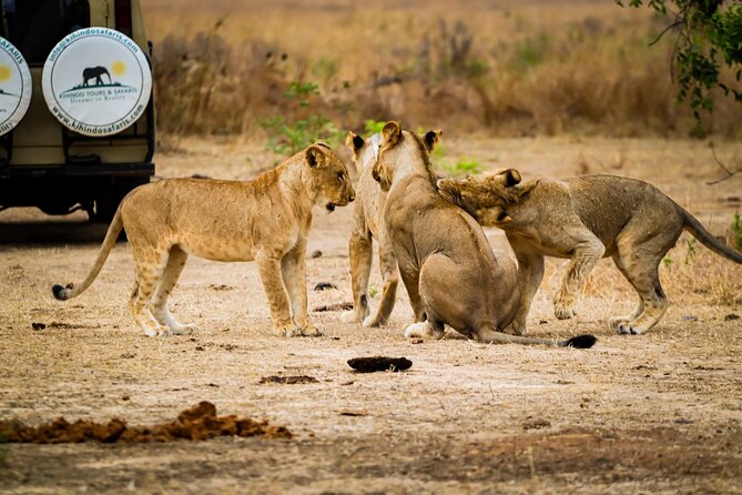 4 Days 3 Nights Safari to Mikumi National Park - Private travel versus a shared safari