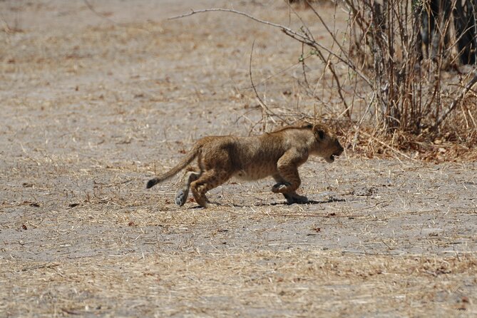 4 days / 3 Nights safari to Ruaha National park - What the $2,200 price covers