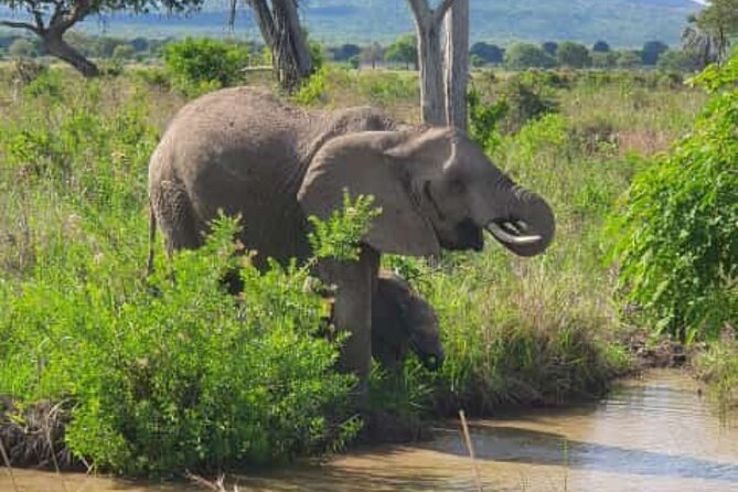 4 Days 3 Nights Selous (Nyerere national park) & Mikumi Adventure - Key things to know before booking