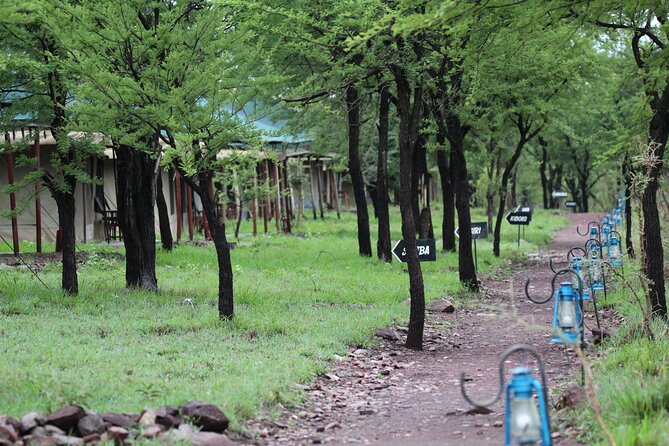 4 Days 3 Nights Tanzanian Budget Safari Tour - The private format and the role of the guide
