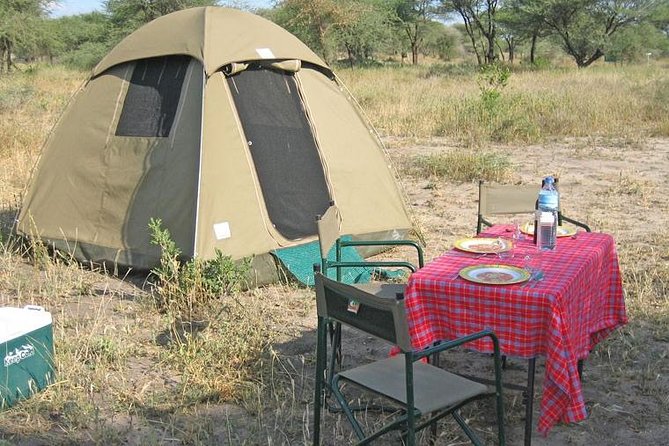 4 Days 3 Nights Tarangire Serengeti & Ngorongoro Lodge Safari - Comfort, vehicles, and the reality of safari roads