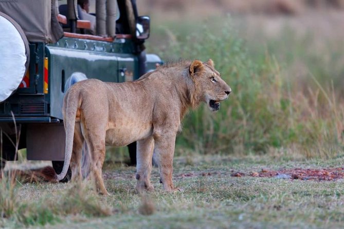 4 Days 3 Nights Tarangire Serengeti & Ngorongoro Lodge Safari - Should you book the four-day route?