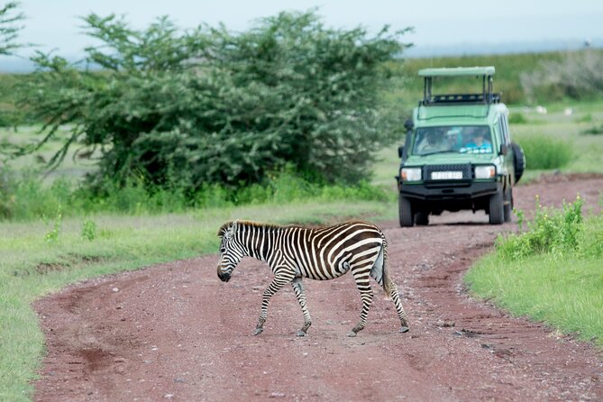 4 days adventure camping safari - Why this four-day route works