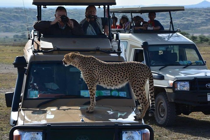 4-Days Adventure Camping Safari to Tarangire, Serengeti & Ngorongoro - Why this four-day route works