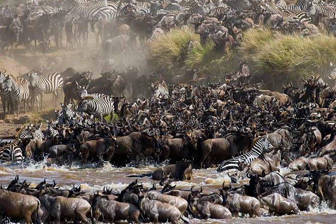 4-Days Adventure Camping Safari to Tarangire, Serengeti & Ngorongoro - Day 4: Searching the Ngorongoro floor