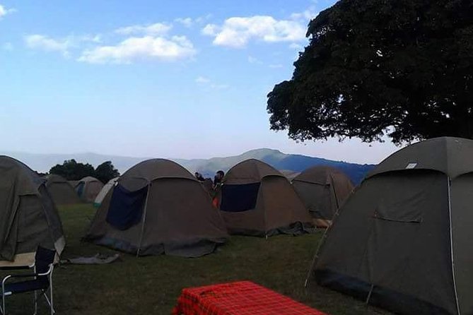 4 Days Affordable Tanzania Budget Safari - What $1,500 buys you in northern Tanzania