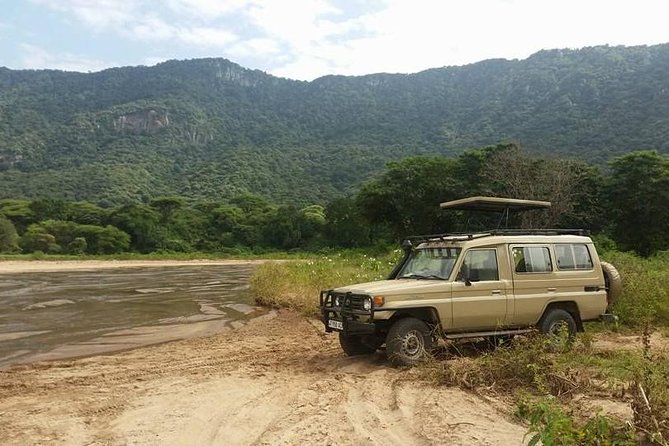 4 Days Affordable Tanzania Budget Safari - The private vehicle and guide make the biggest difference