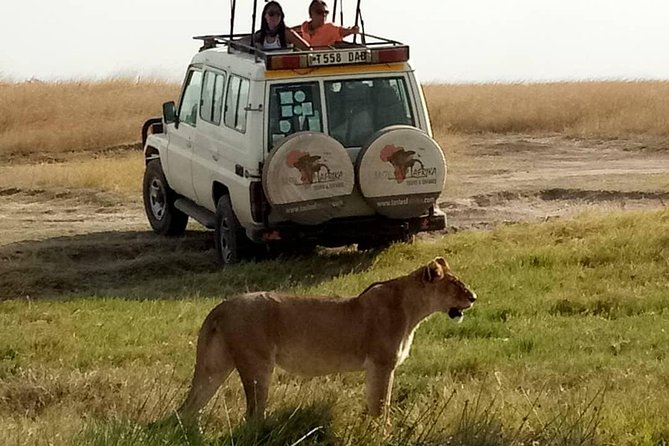 4 Days Affordable Tanzania Budget Safari - Day 1: elephants and baobabs in Tarangire