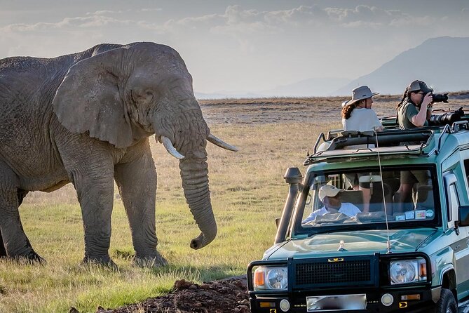 4 days Awesome Luxury safari Tarangire Serengeti & Ngorongoro - Why this route works so well in four days