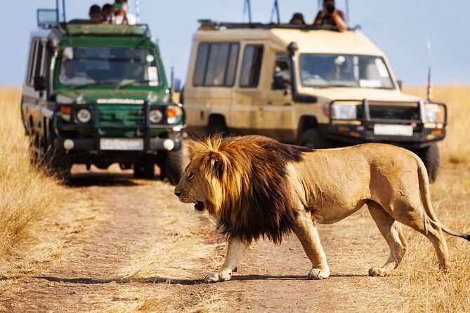 4 days Awesome Luxury safari Tarangire Serengeti & Ngorongoro - Day 2: Crossing the highlands into the Serengeti