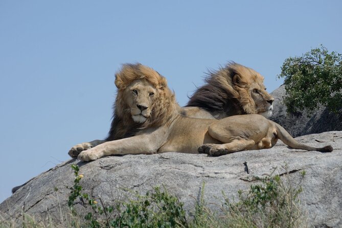 4 days Best experience Kilimanjaro Hike, Serengeti &Ngorongoro - Meals, camping, and what the price really means
