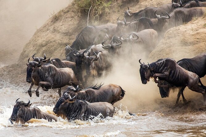 4 Days Experience big five in Tarangire, Serengeti & Ngorongoro Safari - Camping, meals, and what the price includes