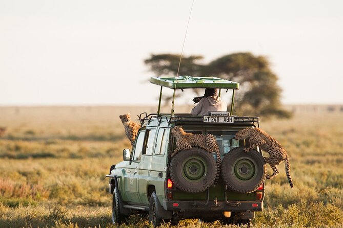 4 Days Experience big five in Tarangire, Serengeti & Ngorongoro Safari - The guide can make or break the safari