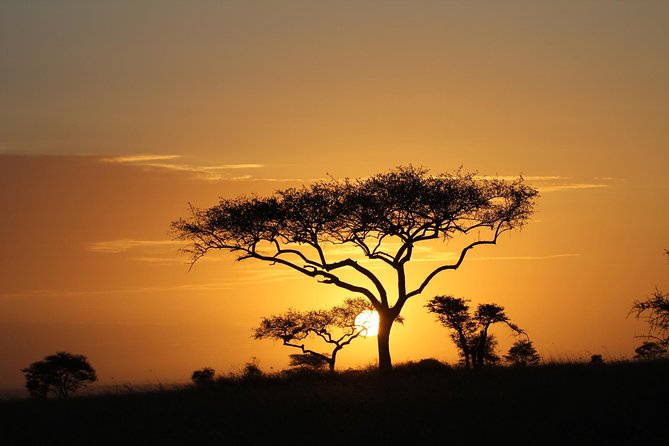 4 Days Game drives Safari Tarangire, Serengeti and Ngorongoro Crater - Why this four-day route works