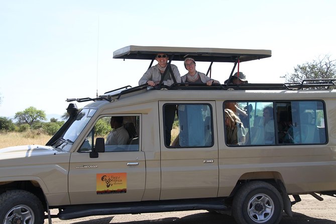 4 Days Game drives Safari Tarangire, Serengeti and Ngorongoro Crater - Day two: crater views, Olduvai Gorge, and Serengeti