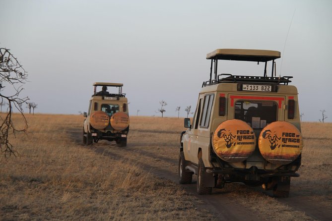 4 Days Game drives Safari Tarangire, Serengeti and Ngorongoro Crater - Day one: elephants along Tarangire River