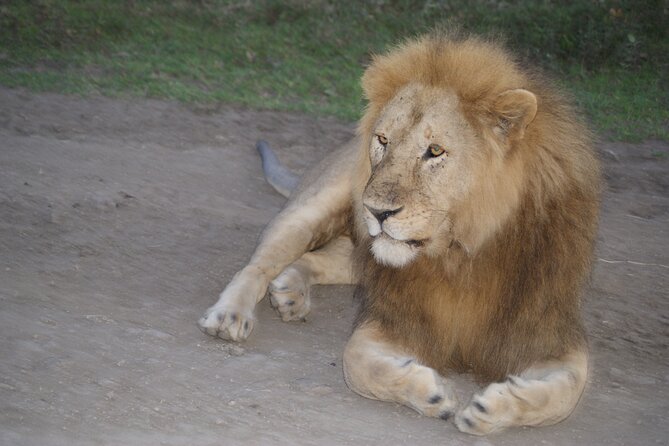 4 Days Group Camping Safari - A fast route through Tanzania’s best-known parks