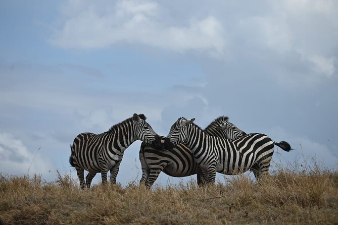 4 Days Group Camping Safari - Day two: entering the Serengeti through the highlands