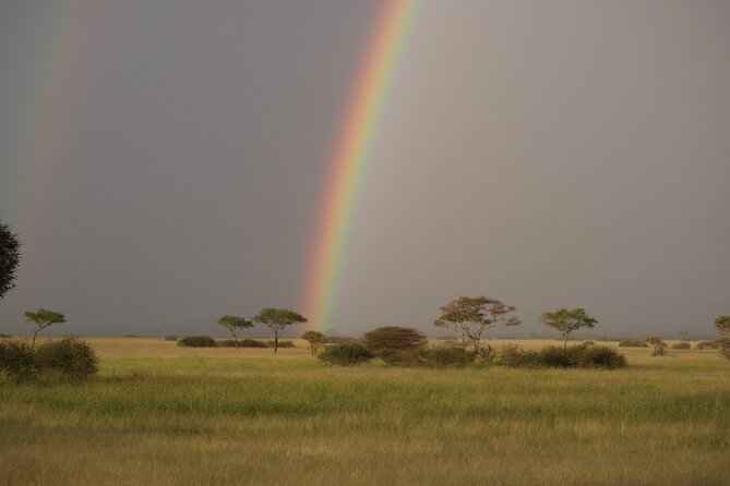 4 Days Group Camping Safari - What the small group and 4x4 mean for you
