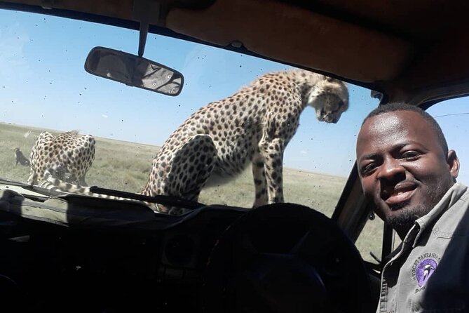 4 Days Group Joining Camping Safari to Tarangire Serengeti Ngorongoro Crater - Day 4: Down into Ngorongoro Crater