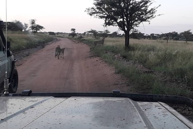 4 Days Group Joining Camping Safari to Tarangire Serengeti Ngorongoro Crater - Packing advice for a short camping safari