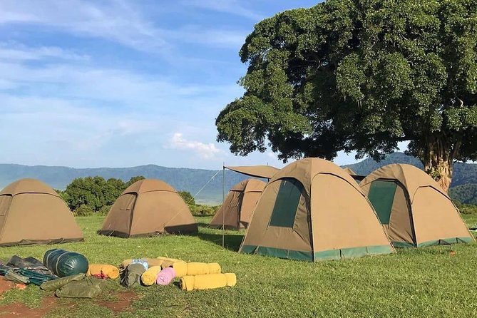 4 Days Join Group tour Tarangire Serengeti and Ngorongoro crater - Food, camping, and small comforts