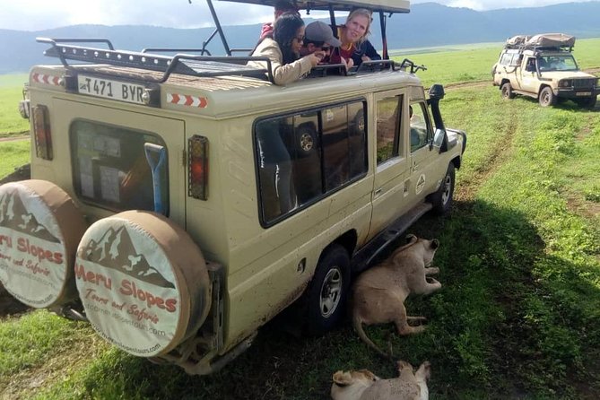 4 Days Join Group tour Tarangire Serengeti and Ngorongoro crater - Timing, pickup, and who should choose it